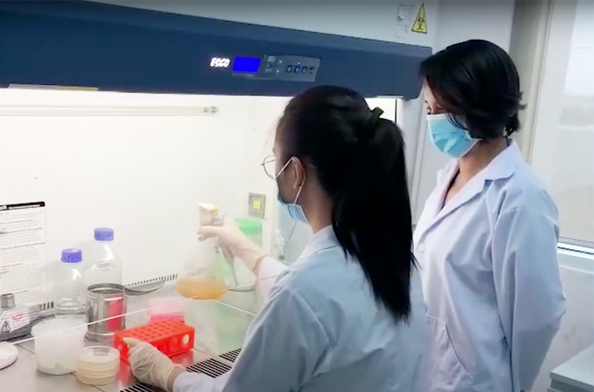 Trưởng phòng kinh doanh123